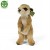 0b029bff60fc50f53d134829b3599e3a
