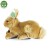cdee178b328cdeae23d5e49af6ab1306