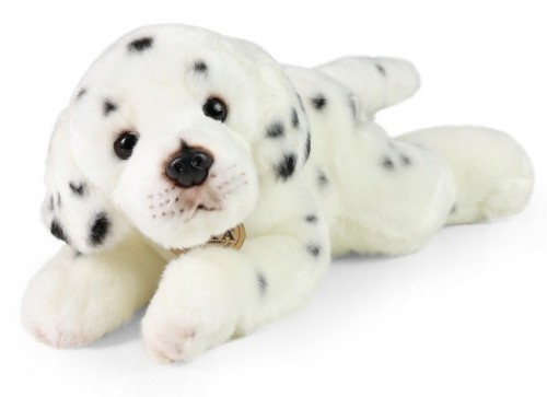 9294b44d75e6ebb48439095f854db63a