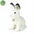211da957cc174bb71774c7a6acfa1ffc