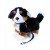 62dca2cafd7551f7301506761f3fe1fa