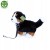 50d8aeb7a8dcdc951099780c5202fb37