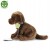 a52c9de3ca352b159375f54e7abac8ed