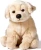 15ff0c9f5b5edeb89d25689298c01ce6