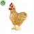 8fcfa6a18e377577dee1489059543785