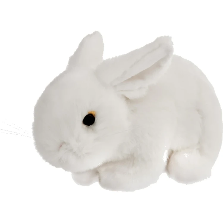 ceb44c9e1bf0d59e3d77d6dcbb57f49a