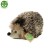a4d2cc3907853a47c7936a995c30c4e6