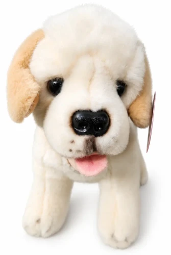 Realistyczny pluszak Labrador Beppe