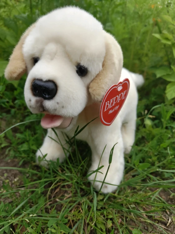 Maskotka psa Labrador marki Beppe do przytulania