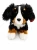 Maskotka Pies BErneński Siedzący 22cm Beppe