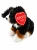 Maskotka Pies BErneński Siedzący 22cm Beppe