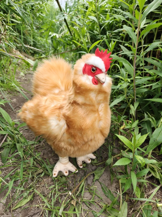 Maskotka Kura Brązowa 34cm Beppe