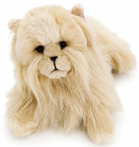 Maskotka Kot Perski Beżowy 40cm Beppe