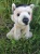 Maskotka Pies Owczarek Niemiecki 22cm Beppe