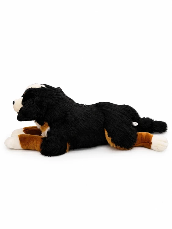 Pluszak pies berneński XXL Beppe 80 cm