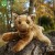 c666b2b4035b91ad43a8b2d3d5f3d7dd